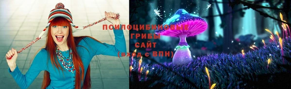 ПСИЛОЦИБИНОВЫЕ ГРИБЫ Алзамай