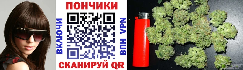 наркота Северская Конопля Amnesia